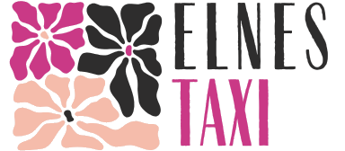 elnes-taxi